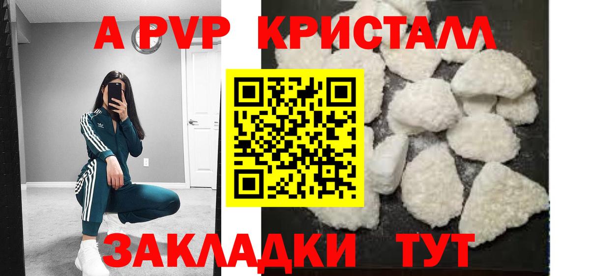 Alfa_PVP СК Сокол