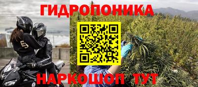 трава Будённовск
