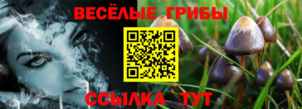Псилоцибиновые грибы Magic Shrooms Сокол