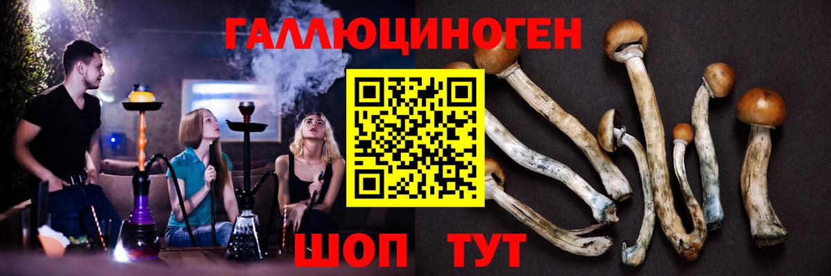 Галлюциногенные грибы прущие грибы  Псилоцибиновые грибы Magic Shrooms  Сокол  Вход с VPN 