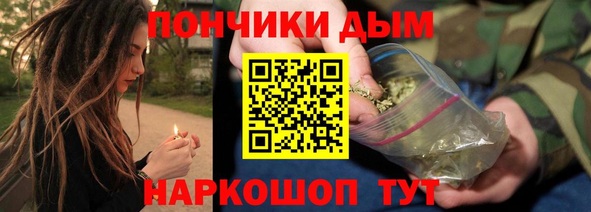 Бошки Шишки гибрид Сокол